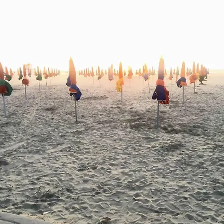 Beachfront Garden 아파트