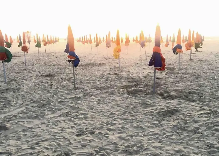 Beachfront Garden 아파트